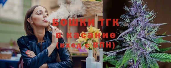 дживик Липки