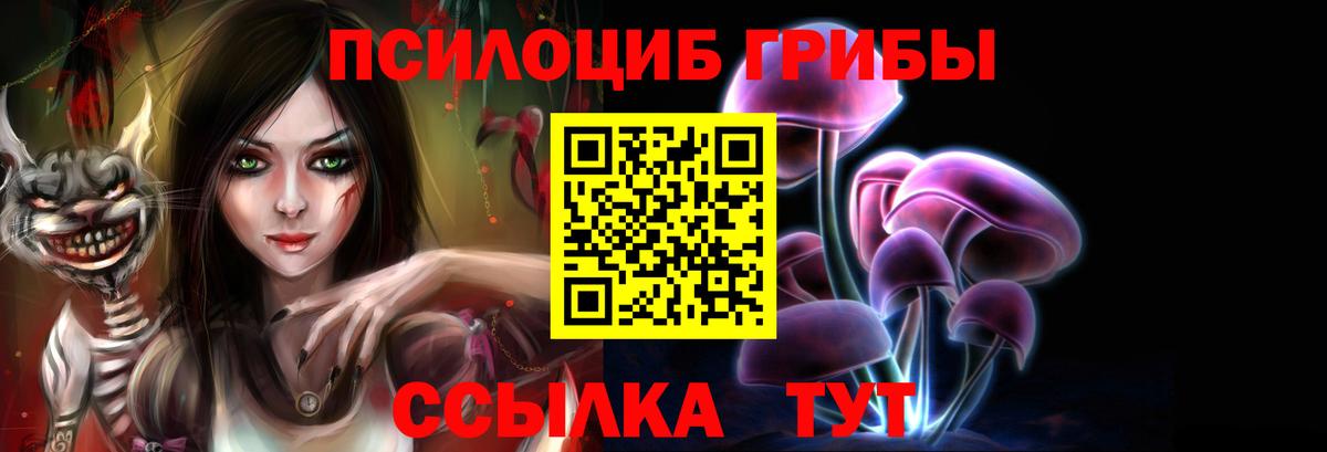 Галлюциногенные грибы прущие грибы  что такое   Топки  Вход с VPN 