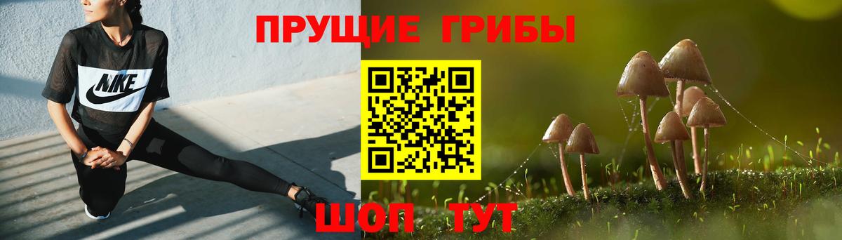 Галлюциногенные грибы ЛСД  Топки 